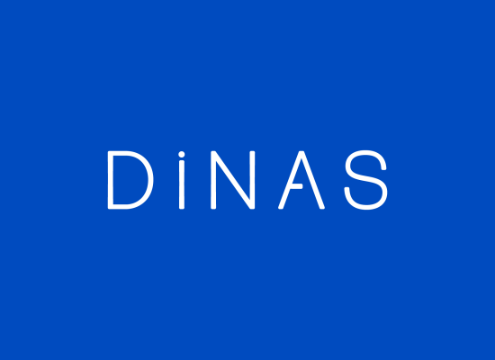 dinas blue webArtboard 5